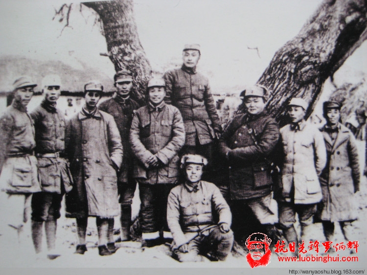 提前迎接“八一”建军节 - 弯腰树 - 弯腰树综合博